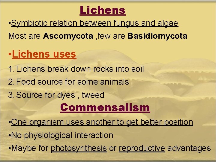 Lichens • Symbiotic relation between fungus and algae Most are Ascomycota , few are