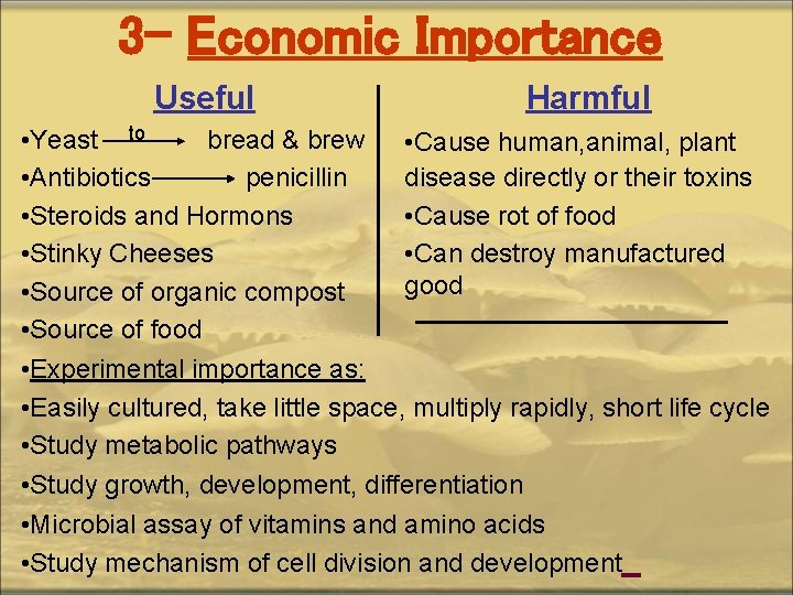 3 - Economic Importance Useful Harmful • Yeast to bread & brew • Cause
