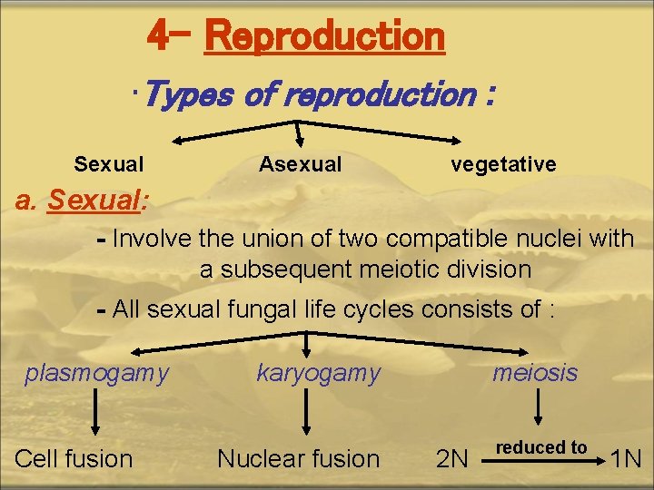 4 - Reproduction • Types of reproduction : Sexual Asexual vegetative a. Sexual: -