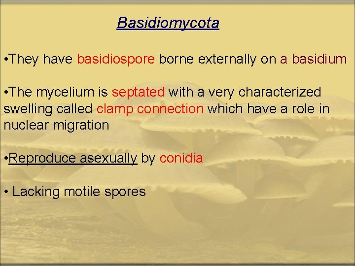 Basidiomycota • They have basidiospore borne externally on a basidium • The mycelium is