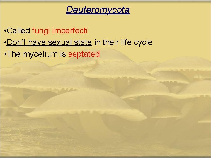 Deuteromycota • Called fungi imperfecti • Don’t have sexual state in their life cycle