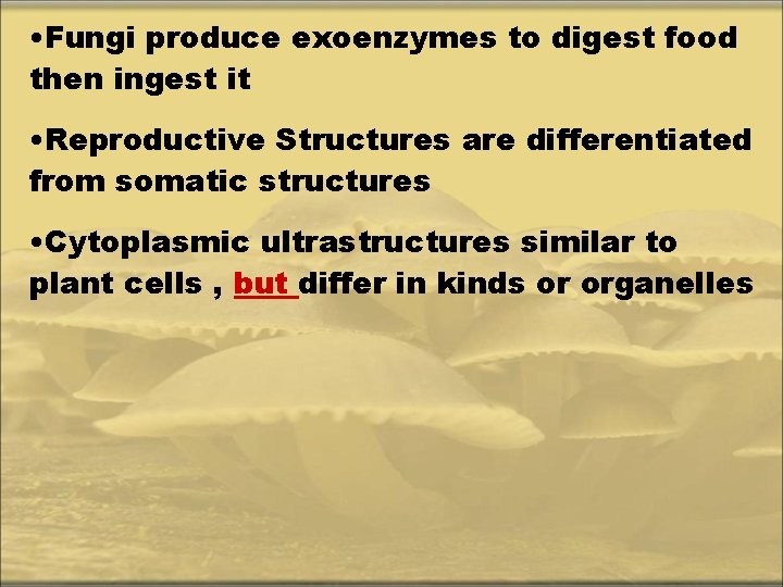 • Fungi produce exoenzymes to digest food then ingest it • Reproductive Structures
