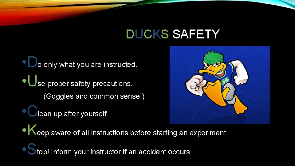 DUCKS SAFETY • Do only what you are instructed. • Use proper safety precautions.