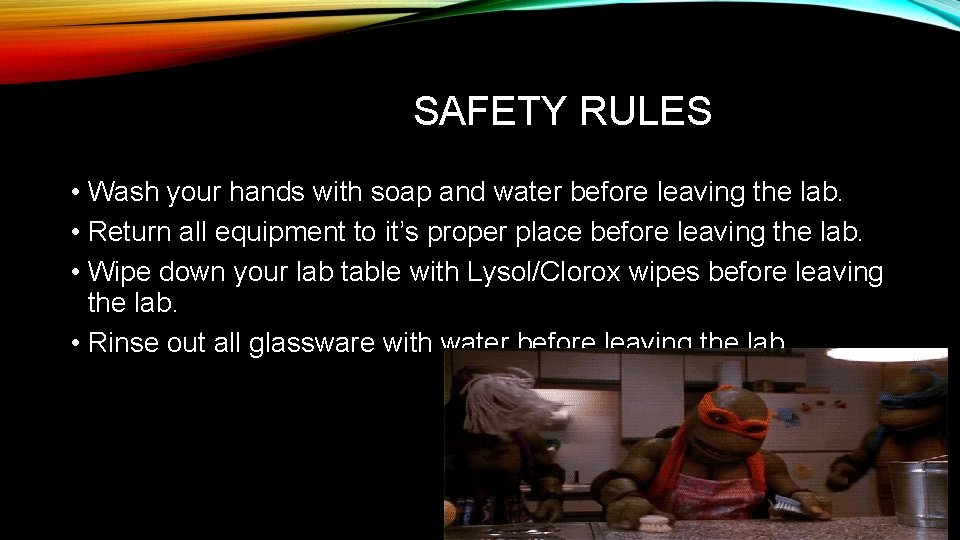 SAFETY RULES • Wash your hands with soap and water before leaving the lab.