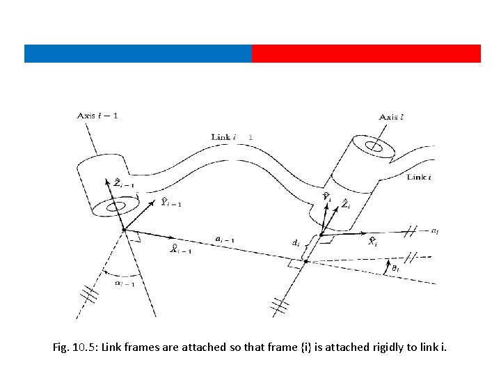 Fig. 10. 5: Link frames are attached so that frame {i} is attached rigidly