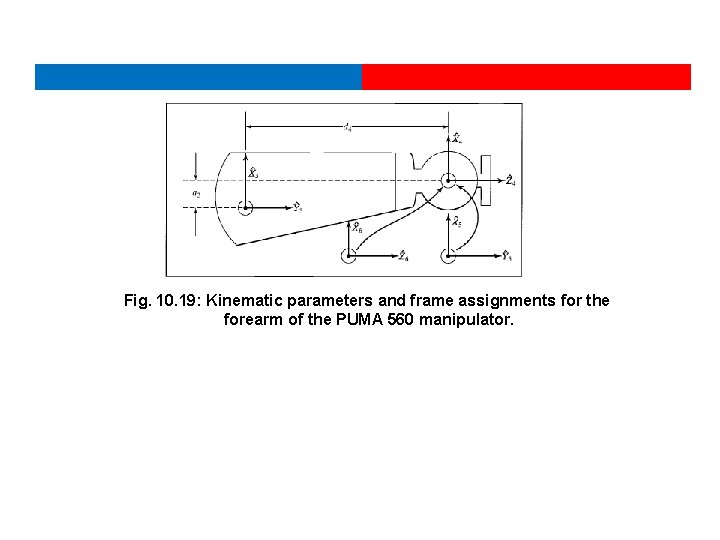 Fig. 10. 19: Kinematic parameters and frame assignments for the forearm of the PUMA