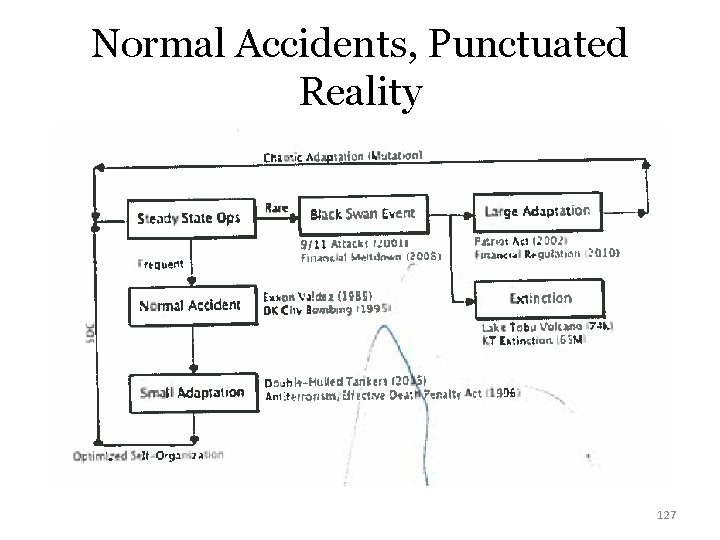 Normal Accidents, Punctuated Reality 127 