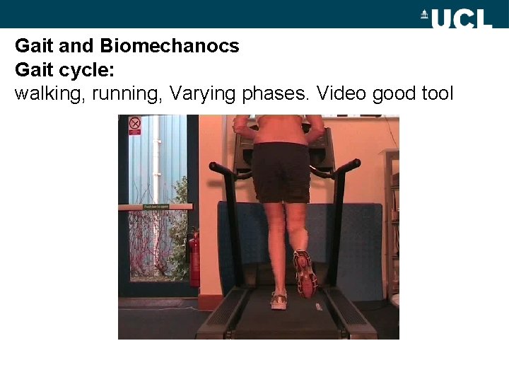 Gait and Biomechanocs Gait cycle: walking, running, Varying phases. Video good tool 
