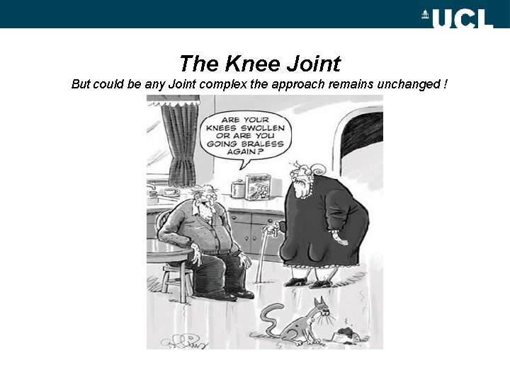 The Knee Joint But could be any Joint complex the approach remains unchanged !