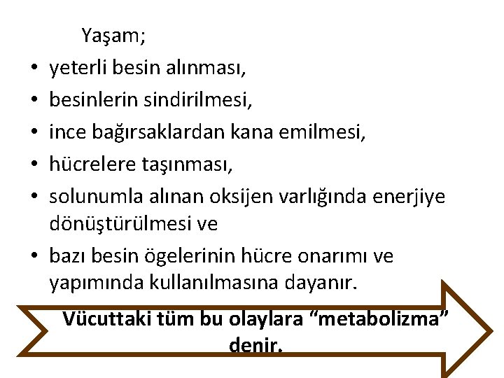  • • • Yaşam; yeterli besin alınması, besinlerin sindirilmesi, ince bağırsaklardan kana emilmesi,