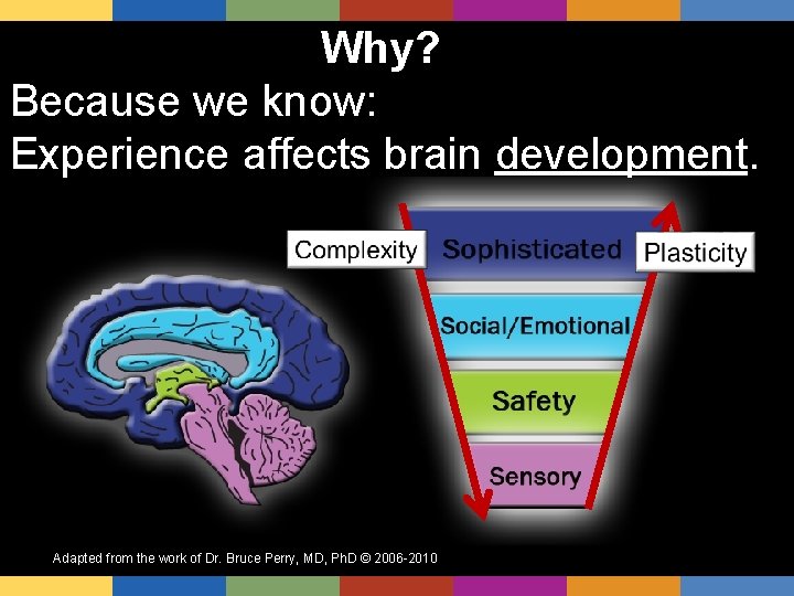 Why? Because we know: Experience affects brain development. . Adapted from the work of