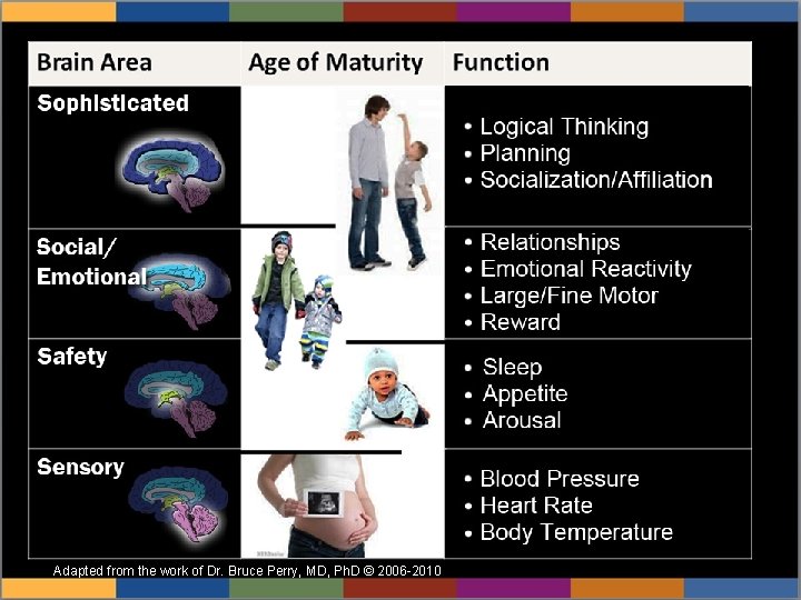 Adapted from thethe work of Dr. Bruce Perry, MD, Ph. D © 2006 -2010