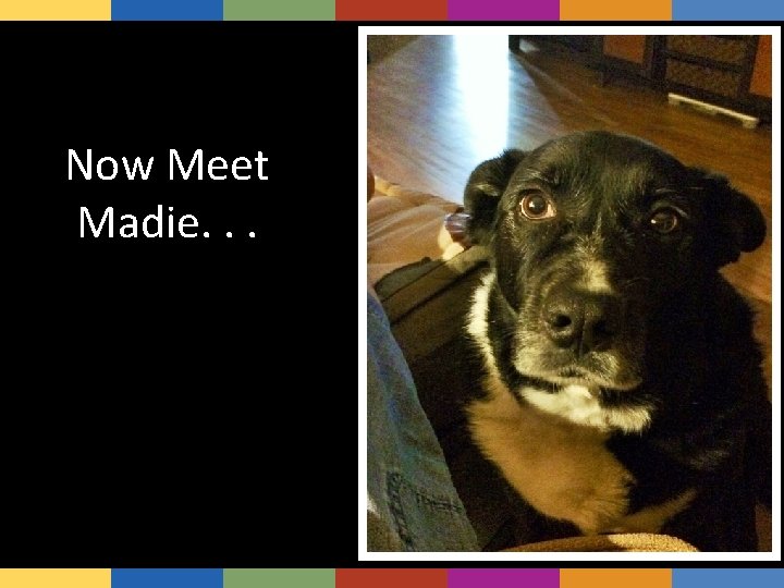 Now Meet Madie. . . 