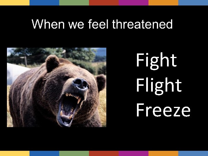 Fight Flight Freeze 