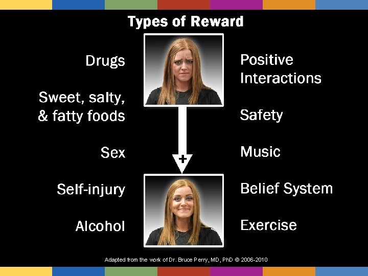 Adapted from the work of Dr. Bruce Perry, MD, Ph. D © 2006 -2010