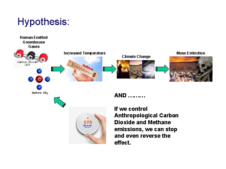 Hypothesis: Human Emitted Greenhouse Gases Increased Temperature Climate Change Mass Extinction AND ……… If