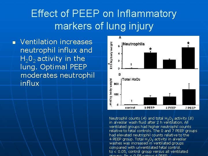Effect of PEEP on Inflammatory markers of lung injury n Ventilation increases neutrophil influx