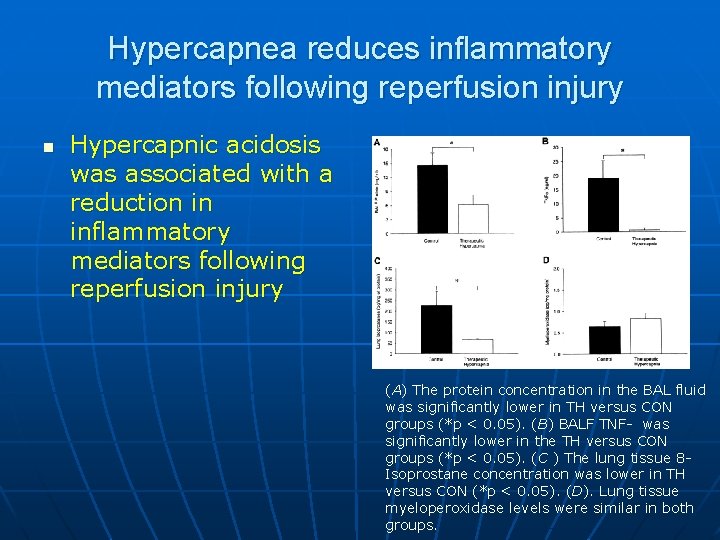 Hypercapnea reduces inflammatory mediators following reperfusion injury n Hypercapnic acidosis was associated with a