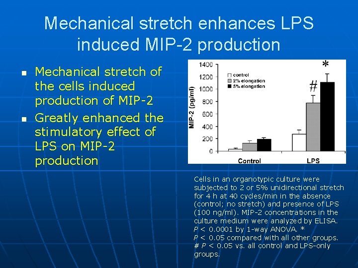 Mechanical stretch enhances LPS induced MIP-2 production n n Mechanical stretch of the cells