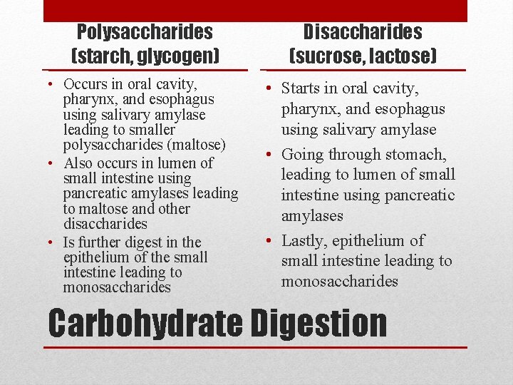 Polysaccharides (starch, glycogen) Disaccharides (sucrose, lactose) • Occurs in oral cavity, pharynx, and esophagus