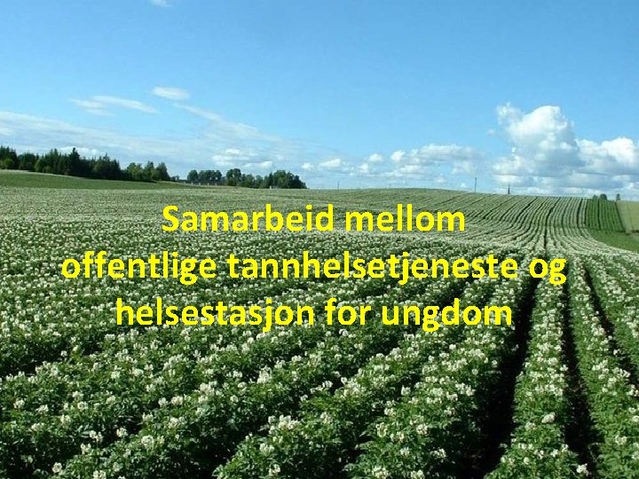 Samarbeid mellom offentlige tannhelsetjeneste og helsestasjon for ungdom 