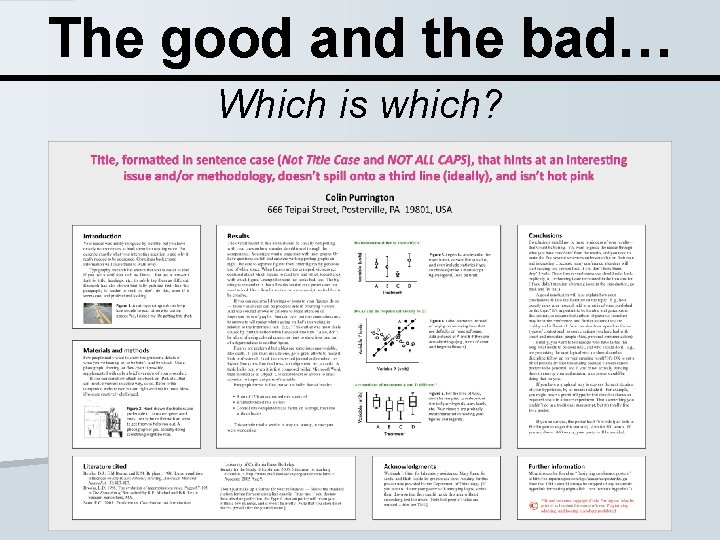 The good and the bad… Which is which? 