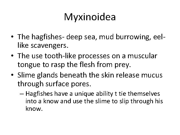 Myxinoidea • The hagfishes- deep sea, mud burrowing, eellike scavengers. • The use tooth-like