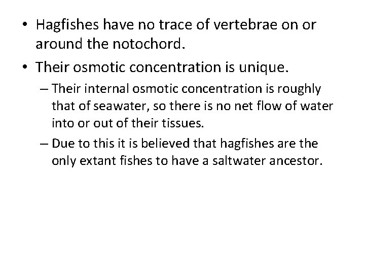  • Hagfishes have no trace of vertebrae on or around the notochord. •