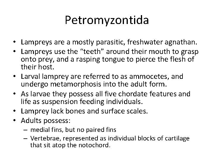 Petromyzontida • Lampreys are a mostly parasitic, freshwater agnathan. • Lampreys use the “teeth”