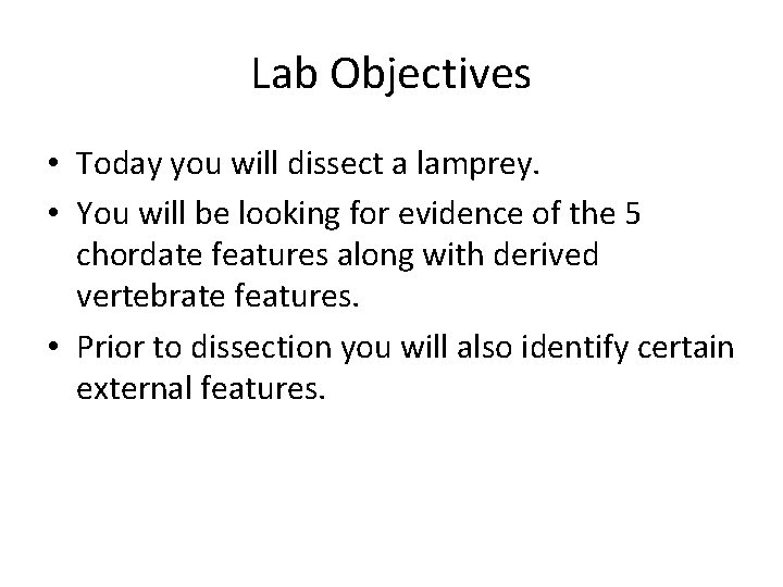 Lab Objectives • Today you will dissect a lamprey. • You will be looking