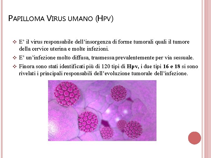 PAPILLOMA VIRUS UMANO (HPV) v E’ il virus responsabile dell’insorgenza di forme tumorali quali