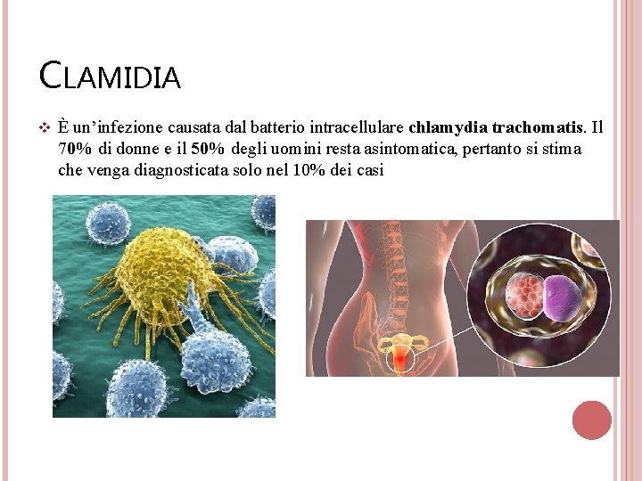 CLAMIDIA v È un’infezione causata dal batterio intracellulare chlamydia trachomatis. Il 70% di donne