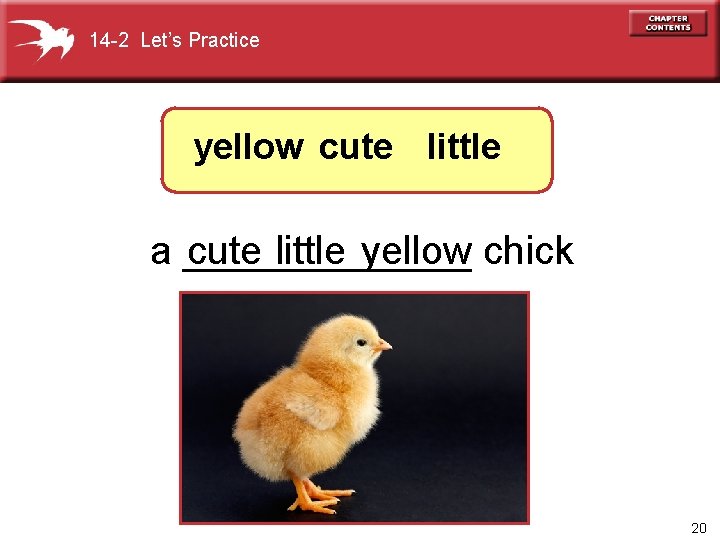 14 -2 Let’s Practice yellow cute little a _______ cute little yellow chick 20