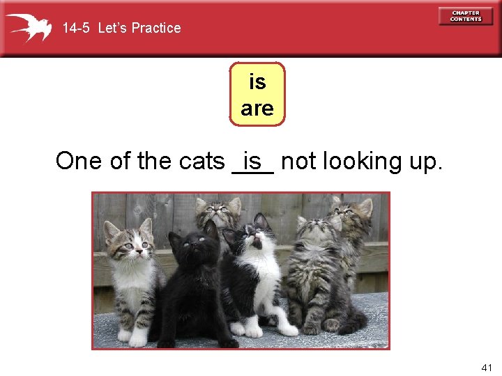 14 -5 Let’s Practice is are One of the cats ___ is not looking