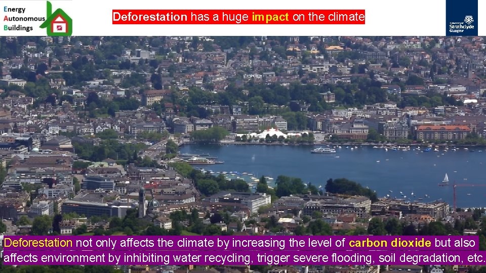 Deforestation has a huge impact on the climate Deforestation not only affects the climate