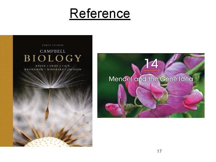 Reference 17 