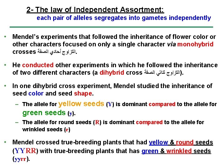 2 - The law of Independent Assortment: each pair of alleles segregates into gametes