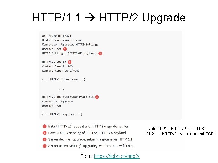 HTTP/1. 1 HTTP/2 Upgrade Note: “h 2” = HTTP/2 over TLS “h 2 c”