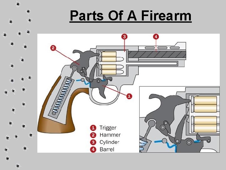 Parts Of A Firearm 
