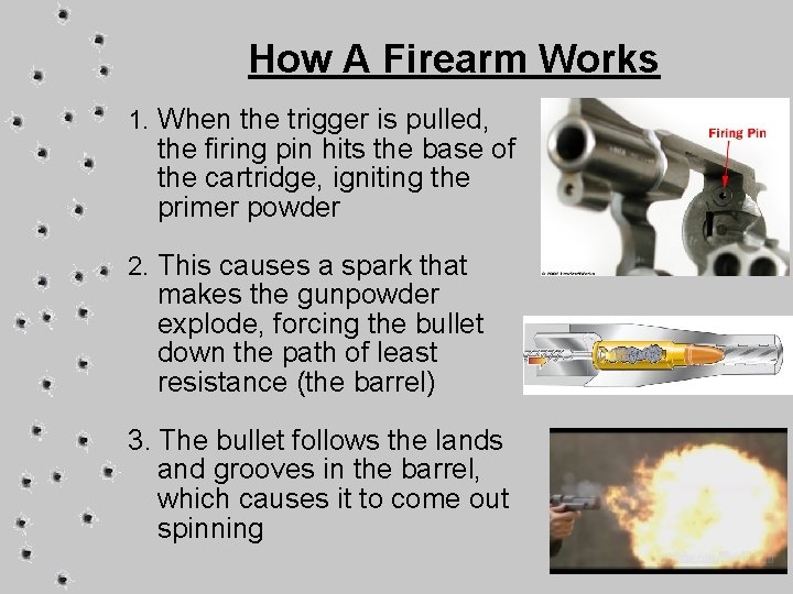 How A Firearm Works 1. When the trigger is pulled, the firing pin hits