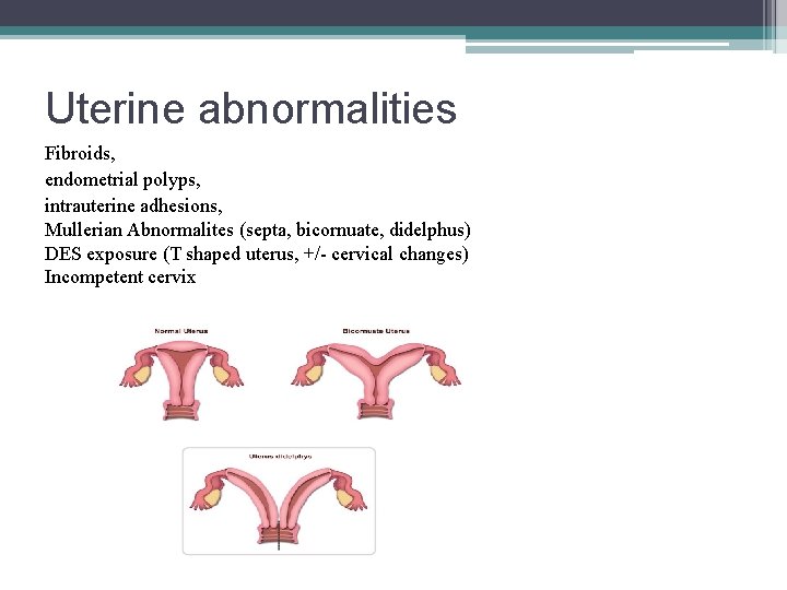 Uterine abnormalities Fibroids, endometrial polyps, intrauterine adhesions, Mullerian Abnormalites (septa, bicornuate, didelphus) DES exposure