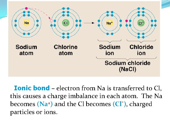 . Ionic bond – electron from Na is transferred to Cl, this causes a