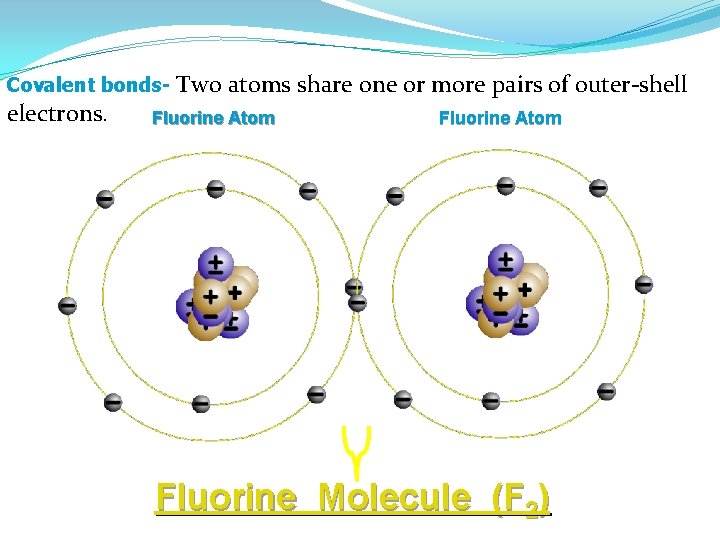 Covalent bonds- Two electrons. atoms share one or more pairs of outer-shell Fluorine Atom