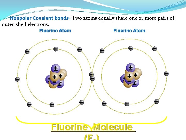 Nonpolar Covalent bonds- Two atoms equally share one or more pairs of outer-shell electrons.