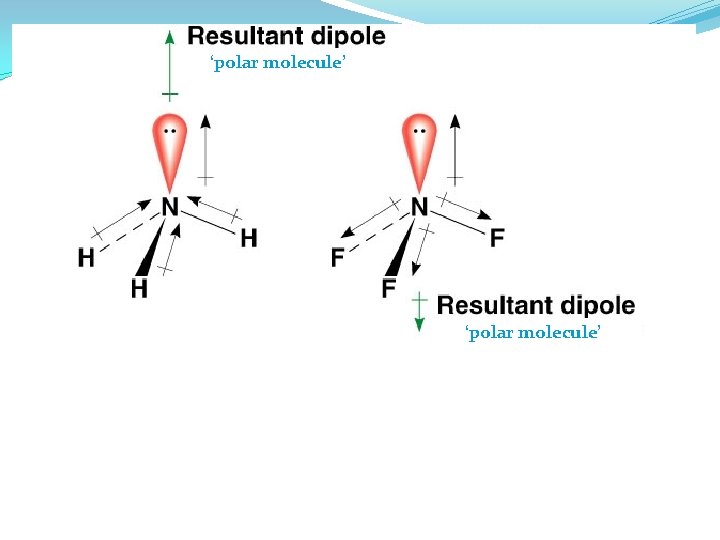 ‘polar molecule’ 