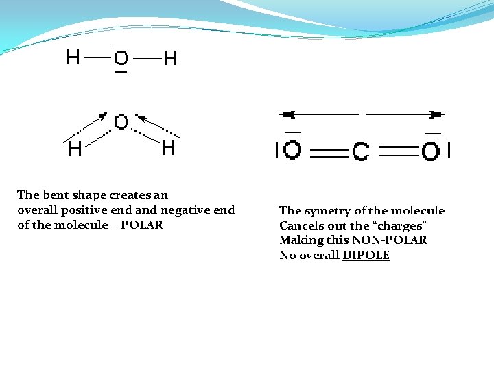 The bent shape creates an overall positive end and negative end of the molecule