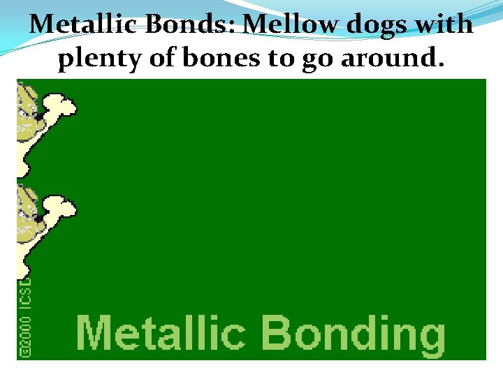 Metallic Bonds: Mellow dogs with plenty of bones to go around. 