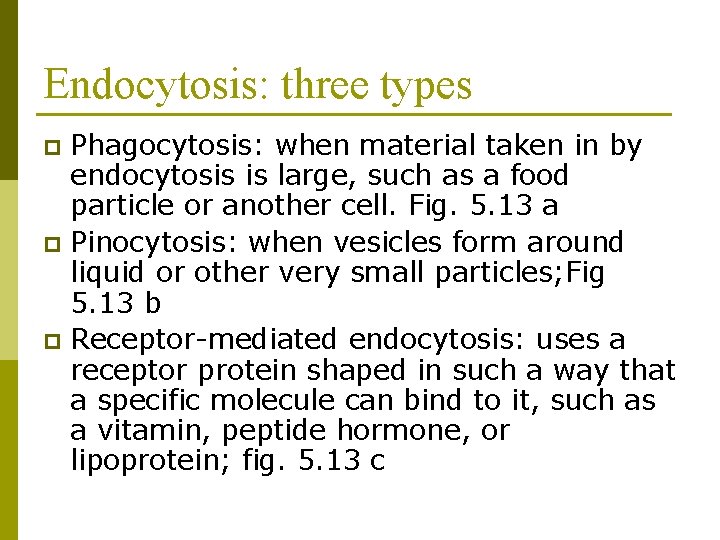 Endocytosis: three types Phagocytosis: when material taken in by endocytosis is large, such as