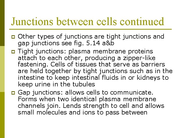 Junctions between cells continued p p p Other types of junctions are tight junctions