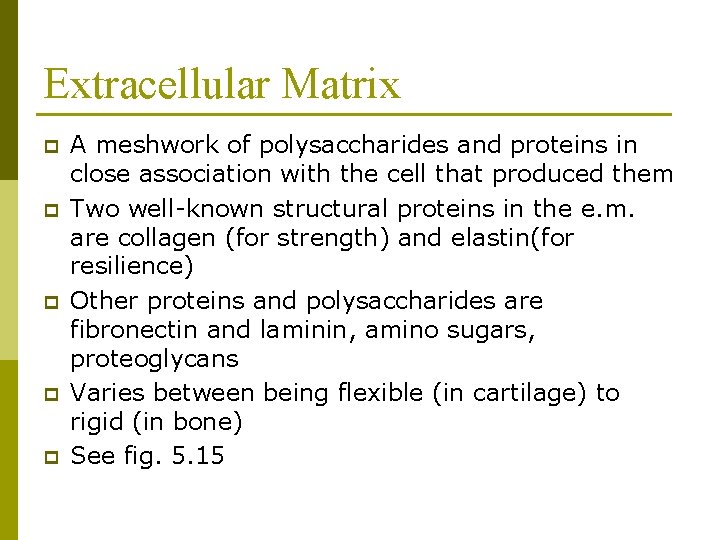 Extracellular Matrix p p p A meshwork of polysaccharides and proteins in close association